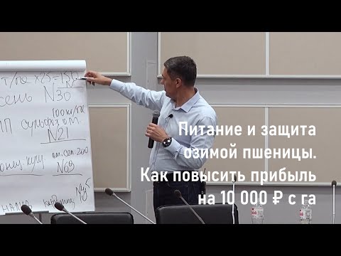 Видео: Питание и защита озимой пшеницы. Как повысить прибыль на 10 000 рублей с га