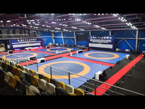 Видео: ЧРК-2025 по греко-римской борьбе U-20 МАТ-D в г. Алматы 23.02.2025