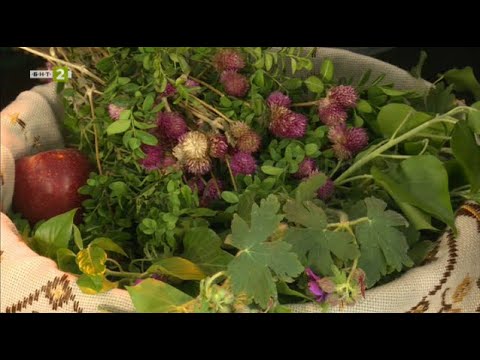 Видео: Сватбени традиции от село Лебница, "Пазители на традициите" - 12.05.2024