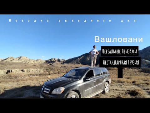 Видео: Заповедник Вашловани. Нетипичная Грузия.