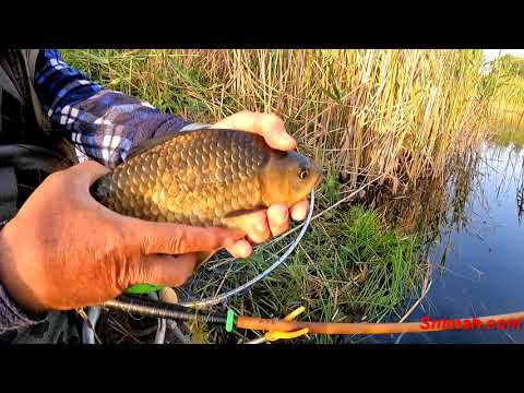 Видео: На Богровската баластриера през забраната