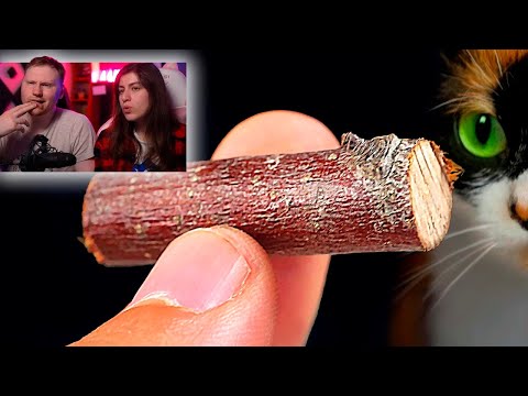 Видео: ВОТ ЧТО МЫ КУПИЛИ НА ALIEXPRESS | РЕАКЦИЯ на SlivkiShow