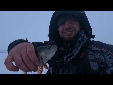Видео: Зимняя рыбалка в Карелии на Онежском озере.