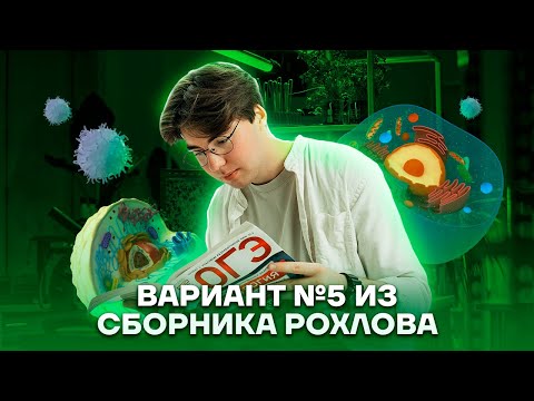 Видео: Разбор по полочкам: вариант №5 из сборника Рохлова | Биология ОГЭ 2023 | Умскул