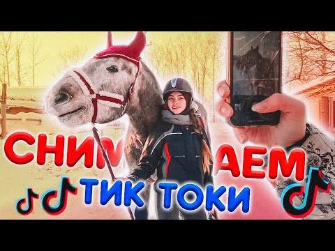 Видео: КАК МЫ СНИМАЕМ ТИК ТОК с лошадьми? / VLOG с конюшни