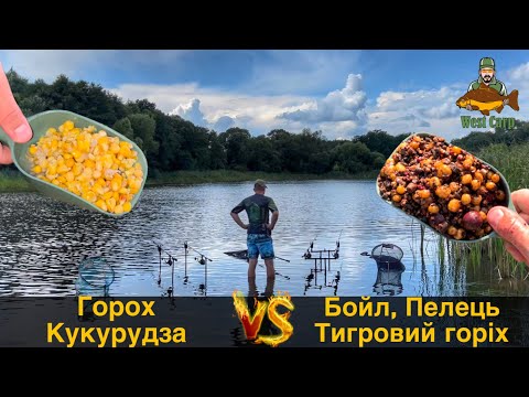 Видео: На що краще клює?Донка проти флета! Рибалим з двох точок з різними стратегіями.