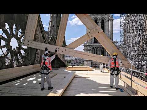 Видео: Нотр-Дам: гонка против краха