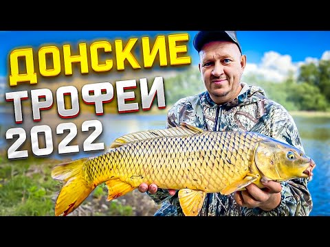 Видео: РЫБАЛКА НА ДОНУ! ЛОВЛЯ САЗАНА на ЖМЫХ! РЫБАЛКА С НОЧЁВКОЙ! САЗАН НА ДОНКУ! ч. 1