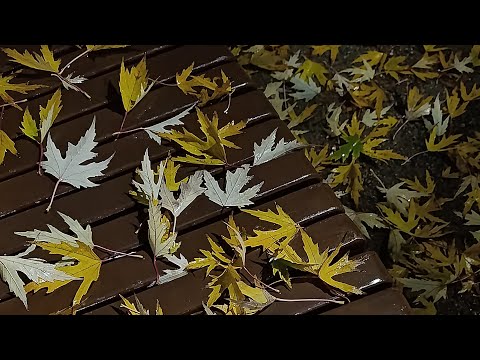 Видео: Готовлю ужин, общаюсь, рисую, покажу покупки из секонда😅