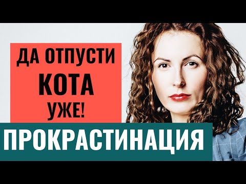 Видео: ПРОКРАСТИНАЦИЯ. Как бороться с прокрастинацией? Как перестать откладывать дела на потом?