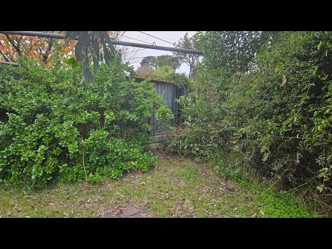 Видео: Двор полностью спасен, часть 2 - 15 лет небрежного отношения!