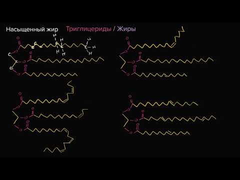 Видео: Насыщенные жиры, ненасыщенные жиры, трансжиры (видео 6)| Макромолекулы | Биология