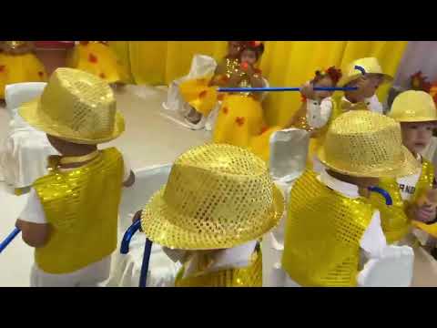 Видео: 9 ноября 2025 г.