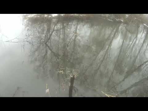 Видео: КП-320 набобра, мой опыт часть 1.