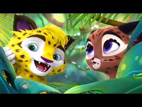 Видео: Лео и Тиг - Новые серии - Сборник нереальных приключений | Мультики 2020