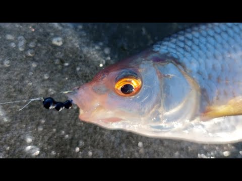 Видео: БЕЗМОТЫЛКА "МУРАВЕЙ С ПОДВЕСКОЙ!!!