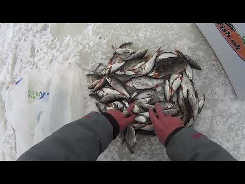 Видео: ЗИМНЯЯ РЫБАЛКА.ЛОВЛЯ ПЛОТВЫ НА ОСНАСТКУ ДЛЯ ПАССИВНОЙ РЫБЫ.