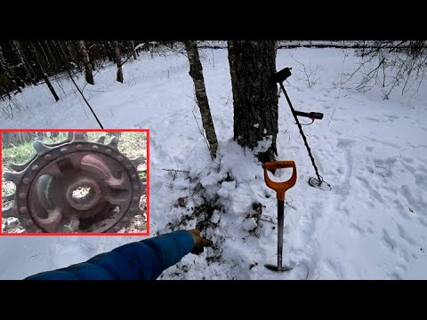 Видео: В лес с разведкой по бесснежной зиме. Ищу перспективные делянки с металлом