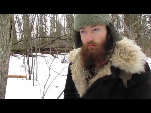 Видео: Сбор кленового сока. Подробно