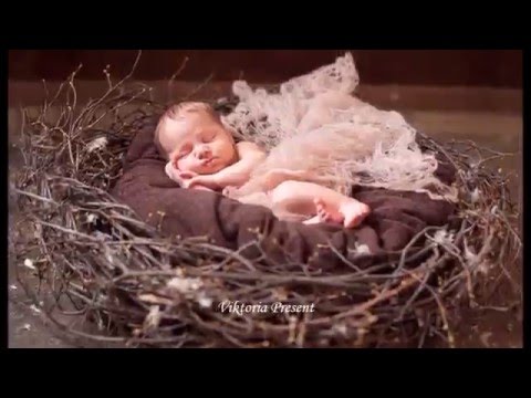 Видео: Делаю гнездо для фото проекта