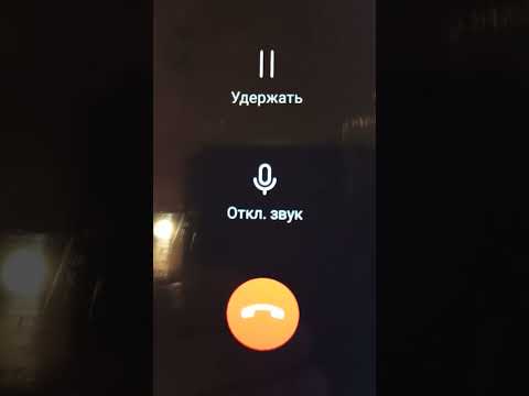 Видео: Пискляво -слащавая Алиса не "натянула расховор".🤷‍♂️