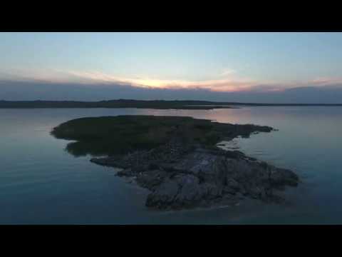 Видео: «ДЕВЯТКА»