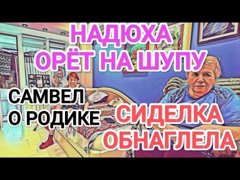 Видео: Самвел Адамян СИДЕЛКА ОРЁТ НА ХОЗЯЙКУ И ЗАКРЫВАЕТ ЕЙ РОТ / АДАМЯН ЛЮБИТ СПЛЕТНИ ОБ ЫРОЧКЕ