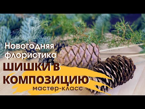 Видео: Новогодняя флористика. Для композиции с шишками. Кедровые, еловые и сосновые шишки в композиции.