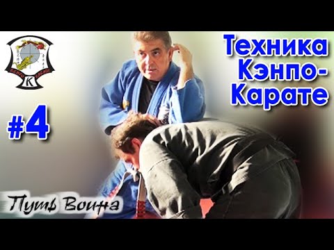 Видео: Техника Кэнпо-Карате: семинар Грандмастера Мохамеда ТАБАТАБАЯ - 4.