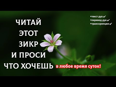 Видео: 🔊 Читай этот дуа и проси что хочешь! На этот дуа обещан скорый ответ 100% #дуа