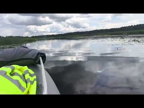 Видео: 13 октября 2025 г.