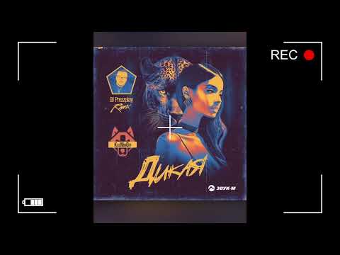 Видео: KuzMinOff - Дикая ремикс DJ Prezzplay. Премьера песни 2024