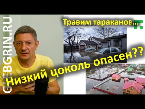 Видео: Низкий цоколь опасен? Травим тараканов из голов