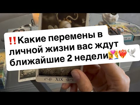 Видео: ‼️Какие перемены в личной жизни вас ждут ближайшие 2 недели👩‍❤️‍👨❤️‍🔥🕊️