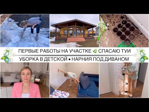 Видео: Открыли весенний сезон на даче | Кот погубил рассаду | Нарния под диваном | Уборка в детской комнате