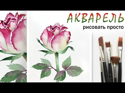 Видео: «Цветы. Роза» как нарисовать 🎨АКВАРЕЛЬ | Сезон 2-6 |Мастер-класс для начинающих