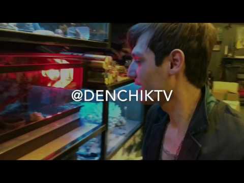 Видео: Александр Шепс в гневе