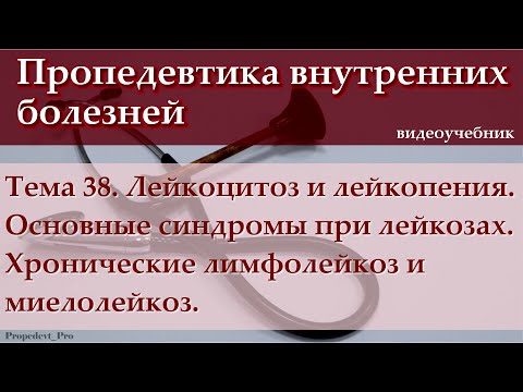 Видео: Тема 38. Лейкоцитоз и лейкопения. Основные синдромы при лейкозах. Хронический лимфо- и миелолейкоз.