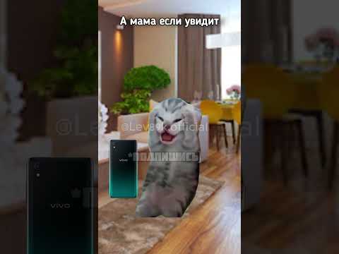 Видео: До какого города дошло это видео?🤔🤨#хочуврек#котики#футажи#shorts Автор звука:@animatordimka