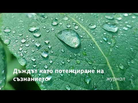Видео: Дъждът като потенциране на съзнанието