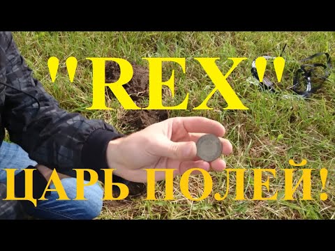 Видео: Поиск монет с топовым глубинным импульсным металлоискателем Rex Land Craft (Mikron Stinger 2)!