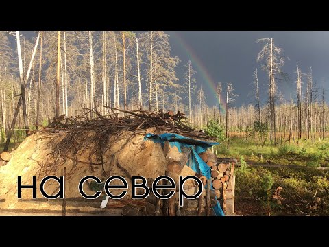 Видео: На север (2020) - авторский документальный фильм, Егор Древлянин