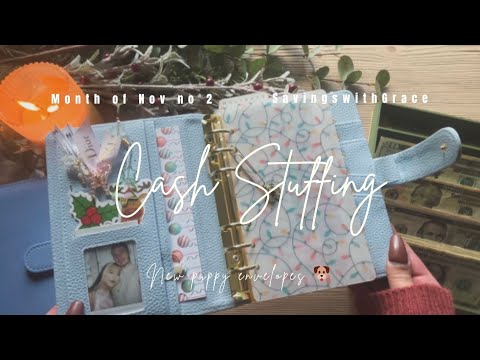 Видео: ДЕНЕЖНЫЕ НАПОЛНЕНИЯ | новые конверты для щенков 🐶 Ноябрь № 2!! #денежныйбюджетник #деньги #звуки_...