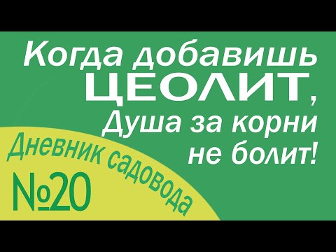 Видео: Цеолит. Результат применения на рассаде (часть1)