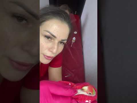 Видео: Обрезание клюва попугая ❗️/Clipping parrot’s beak