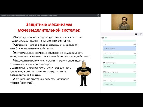 Видео: «Инфекции нижних отделов мочевыделительной системы. Эмфизематозный цистит» Войтова Л.Ю. за 03.06.20