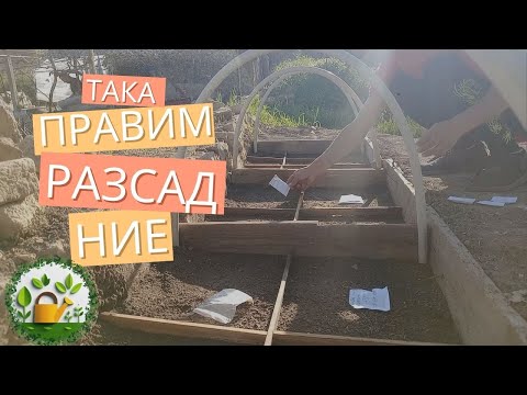 Видео: Бабините Тайни за Мощен Разсад - Пипер в Топла Леха!
