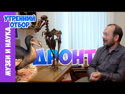 Видео: ДРОНТ - начало отсчета вымирающих видов. Игорь Фадеев.