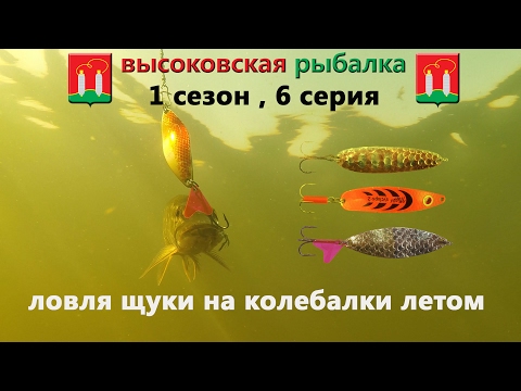 Видео: ловля щуки на колебалки летом