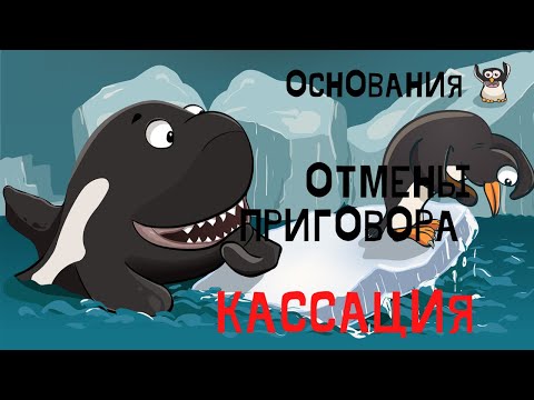 Видео: основания для отмены приговора в кассации